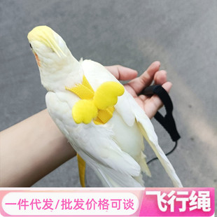 鹦鹉放飞绳子背带式遛鸟绳虎皮玄凤小太阳不伤脚超轻牵引绳防走失