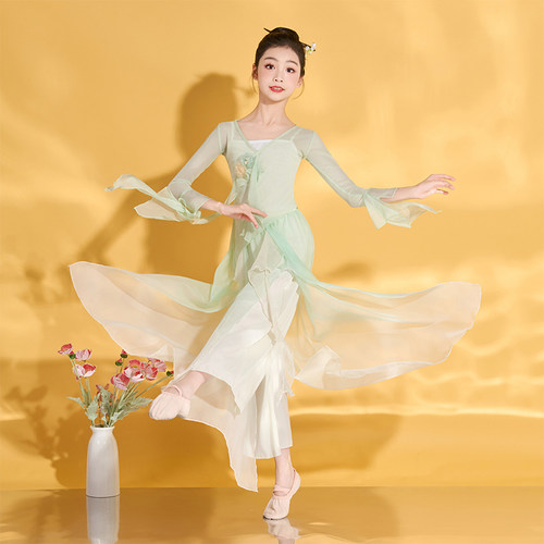 儿童古典舞女童舞蹈演出服练功