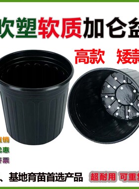 黑色加仑育苗盆家庭育苗推荐款木本植物专用黑色加厚育苗盆