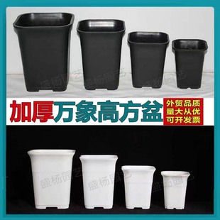 方形万象盆高腰盆高腰万象盆方形高款 多肉花盆法师老桩基地玉露盆