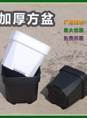 多肉花盆加厚塑料大号圆角磨砂小黑方白色叶插盆肉肉植物盆栽方盆