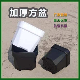 多肉花盆加厚塑料大号圆角磨砂小黑方白色叶插盆肉肉植物盆栽方盆