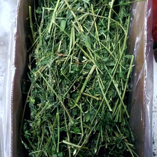 苜蓿草杆宠物兔草段苜蓿杆纯杆兔草龙猫荷兰猪豚鼠补钙XS1100