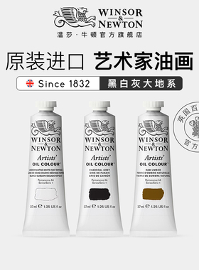 温莎牛顿winsornewton法国进口艺术家油画颜料套装37ml 200ml管支