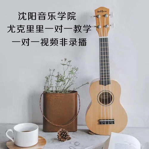 尤克里里教学网课一对一视频