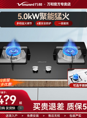 万和B7L51嵌入式燃气灶5.0KW猛火全进风台嵌两用厨房一级能效节能