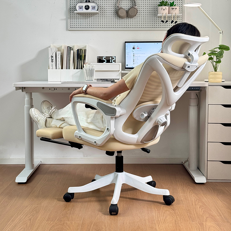 【四向追腰】久坐人体工学椅