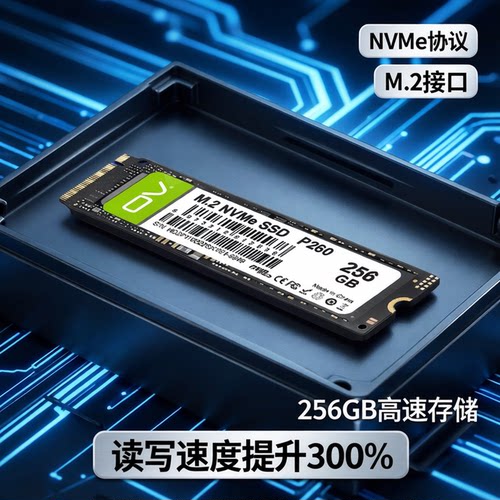 ovM.2NVMe高速固态硬盘256G