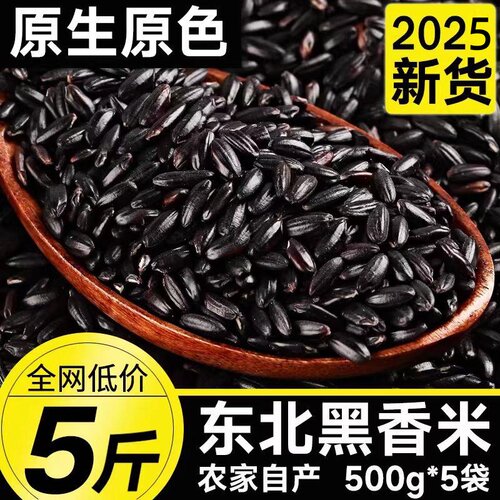 东北黑米农家新米2025年黑香米