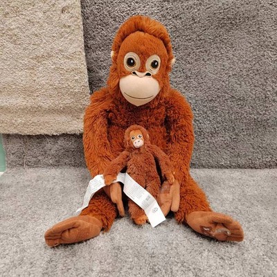 尤恩格斯库格网红小猩猩