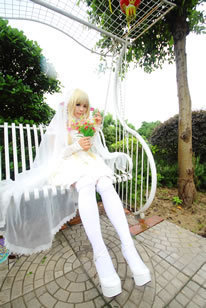 厂区动漫定制万用拍 定做拍 差价拍 页面拍