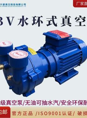 官方正品2BV水环式真空泵抽真空热销品真空泵大功率工业用抽气泵