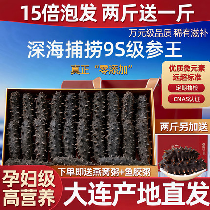 大连淡干海参国标15倍纯野生海鲜9年干货礼盒装深海辽刺参孕妇补