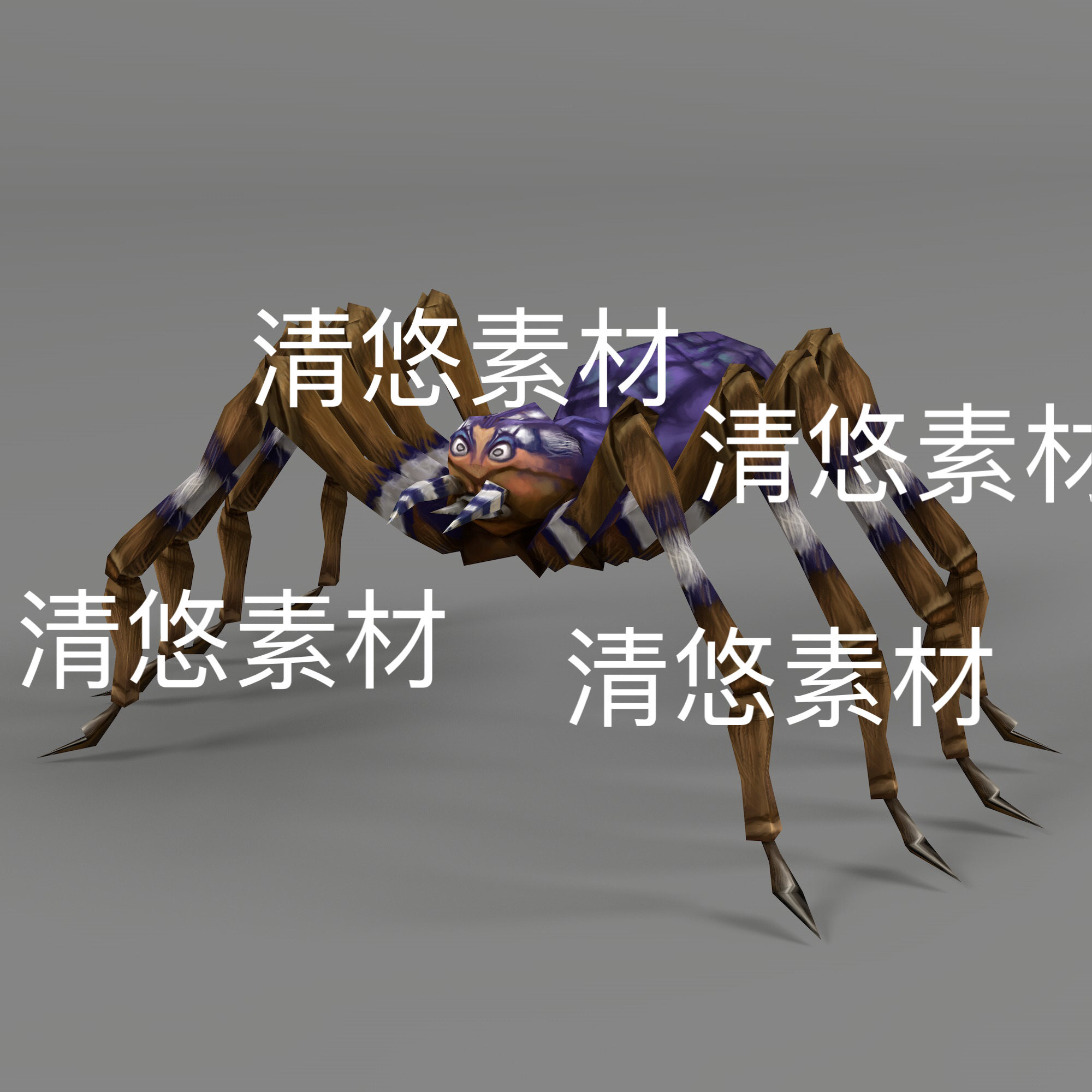 3dmax格式bip骨骼绑定简模爬行动物蓝背蜘蛛fbx格式 非实物D353