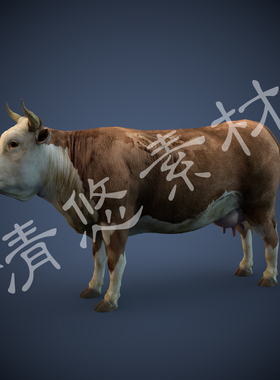 c4d写实奶牛模型 食草四足动物 黄白母牛fbx格式 非实物231