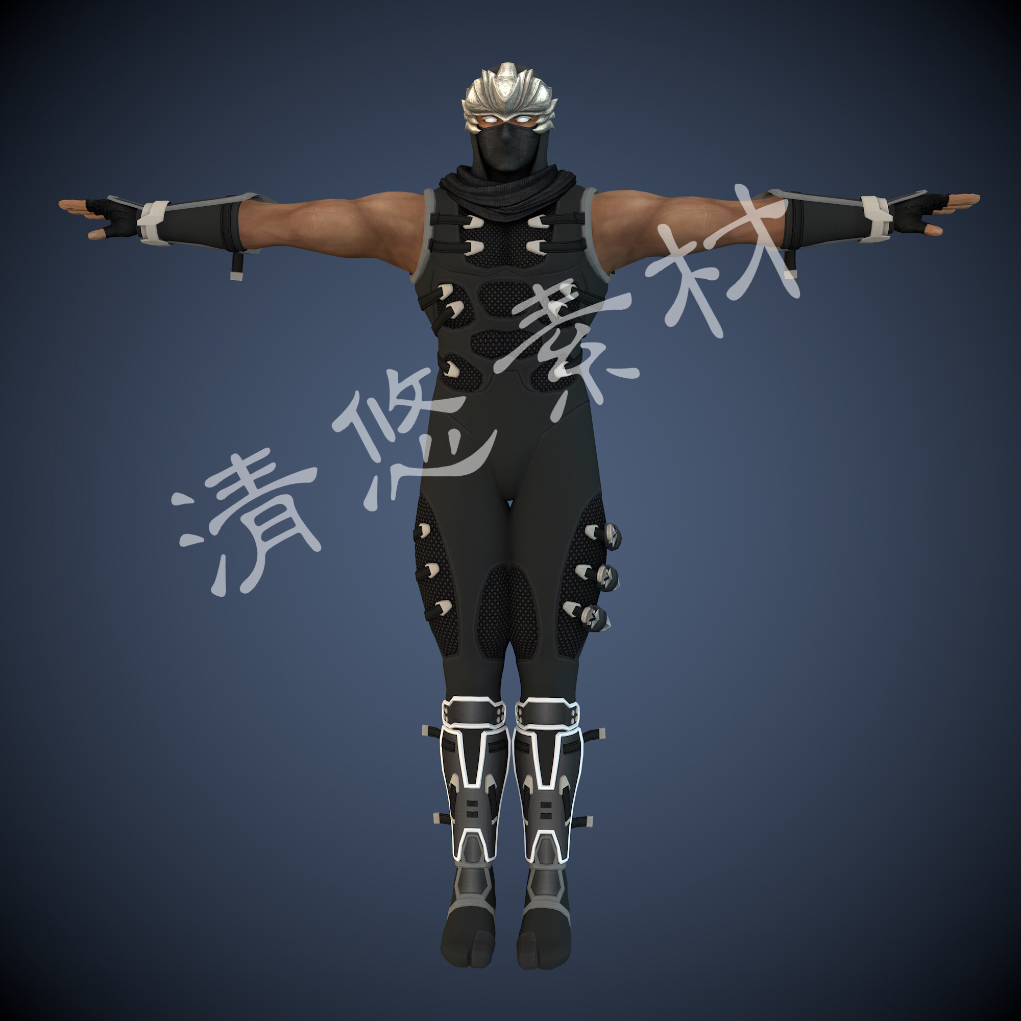 忍者龙剑传2 龙隼 带BIP骨骼绑定模型3dsmax人物角色 A37