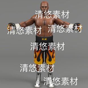 110个动作 fbx格式 拳击运动员骨骼绑定模型文件 非实物D222 c4d