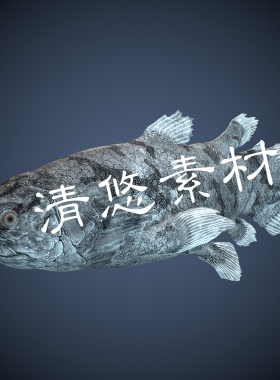 腔棘矛尾鱼史前动物模型c4d fbx格式骨骼绑定带动画动作模型A14