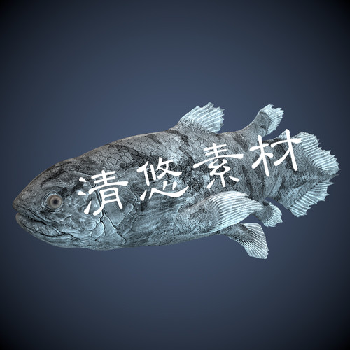 腔棘矛尾鱼史前动物模型c4d fbx格式骨骼绑定带动画动作模型A14