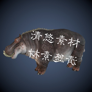 河马动物模型骨骼绑定带动作游戏怪物 非实物A321 fbx格式 c4d