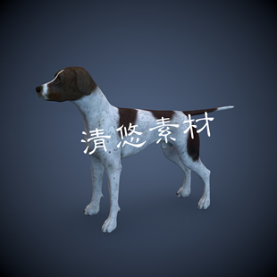 德国指示猎犬c4d宠物狗小狗骨骼绑定fbx格式 非实物681 模型文件