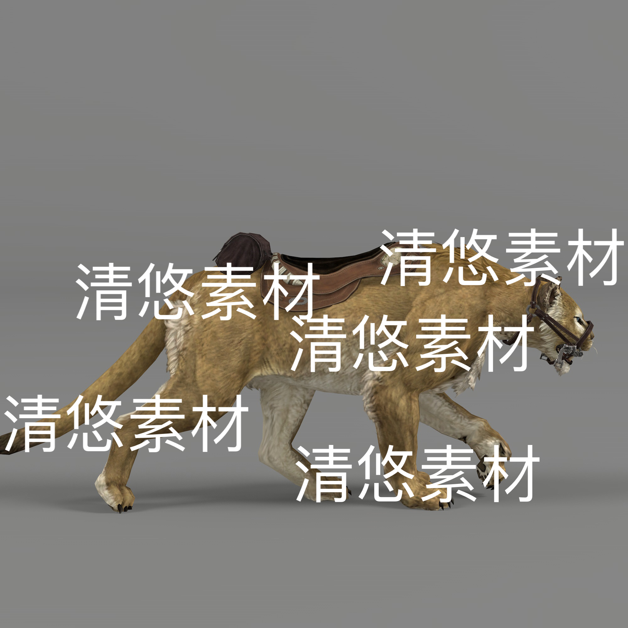 c4d fbx格式人物坐骑骑宠动物美洲狮骨骼绑定动作文件 非实物D195