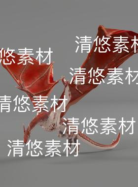 红色飞龙动作文件骨骼绑定西方恶龙c4d fbx格式神龙 非实物E345