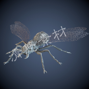 c4d 骨骼绑定模型节制爬行动物翅膀飞蚂蚁带动画动作995 fbx格式