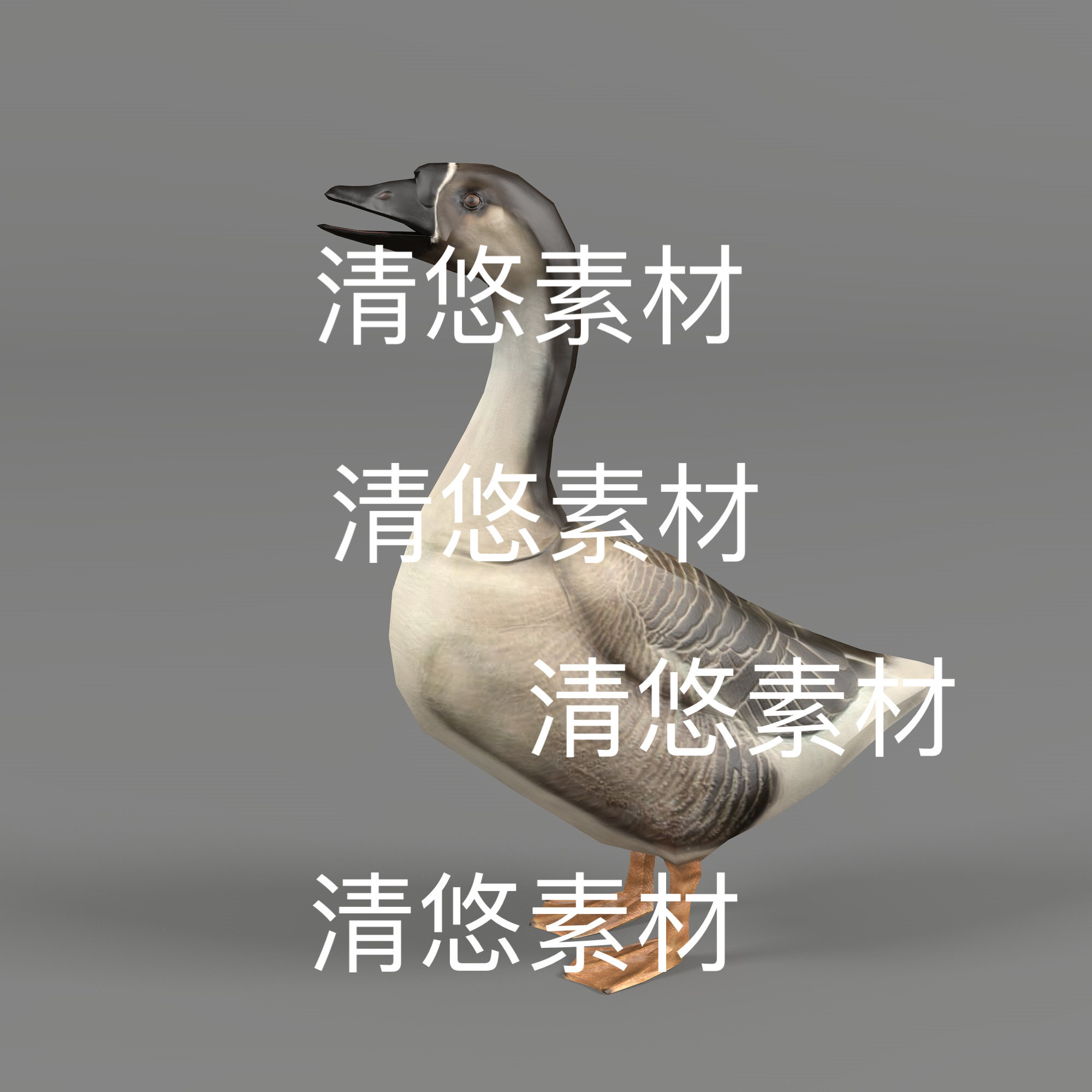 天鹅c4d fbx格式动物3D模型大鹅骨骼绑定动作文件 非实物B843