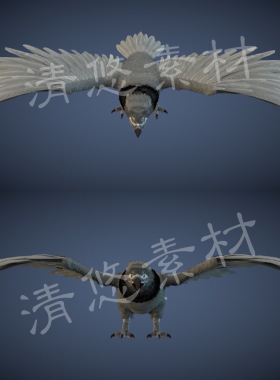阿根廷巨鹰c4d fbx格式骨骼绑定带动作飞行动物鹰 猛禽 非实物994