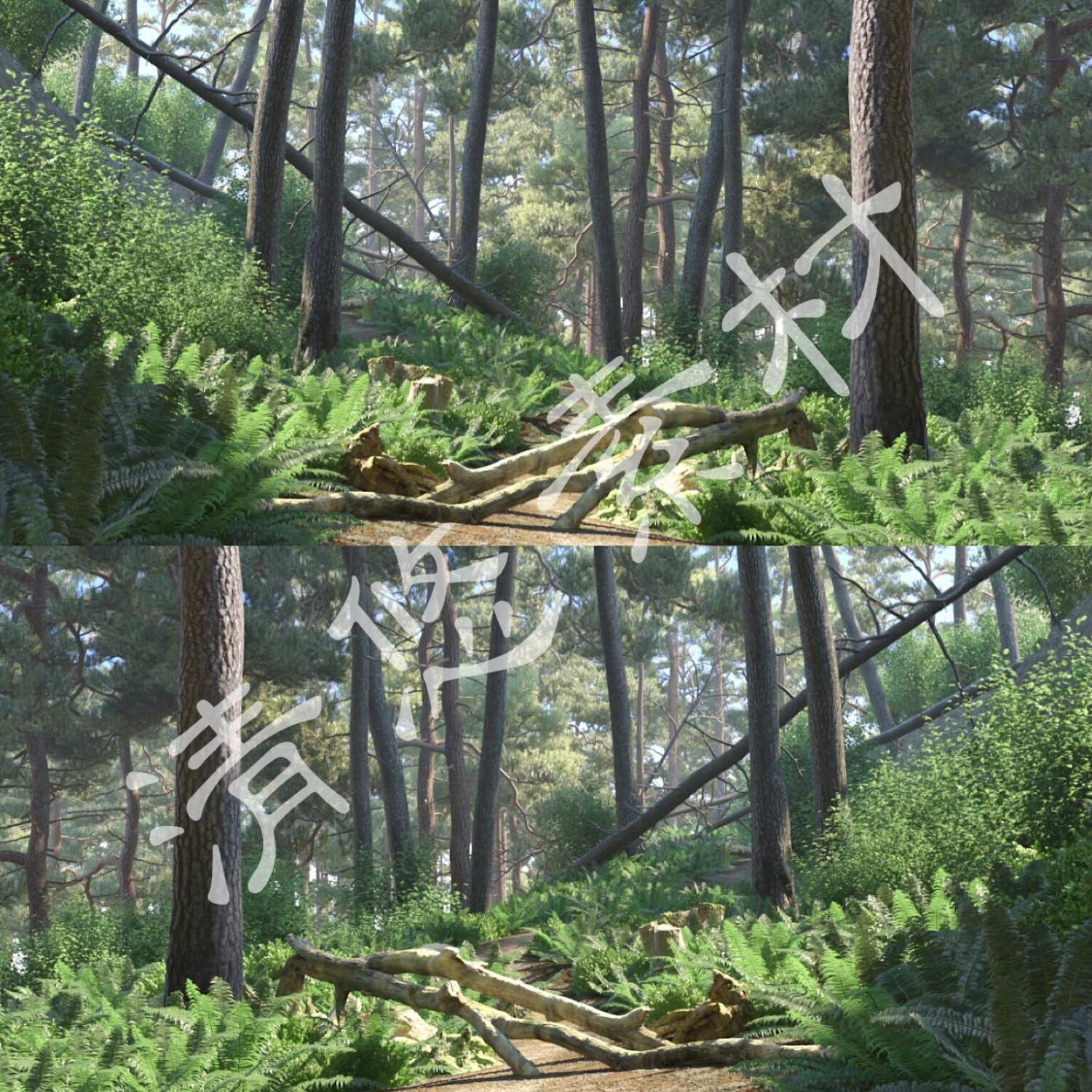 3dmax vray渲染森林场景模型 写实户外植物树木 小树林 格式108