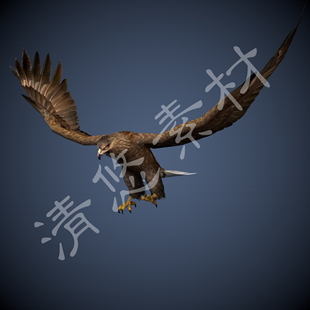 328 游戏全套动作fbx格式 飞行动物3dmax c4d老鹰模型猛禽骨骼绑定