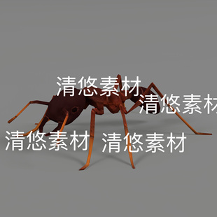 红蚂蚁3D模型绑定动作文件 非实物B799 fbx格式 蚂蚁爬虫动物c4d