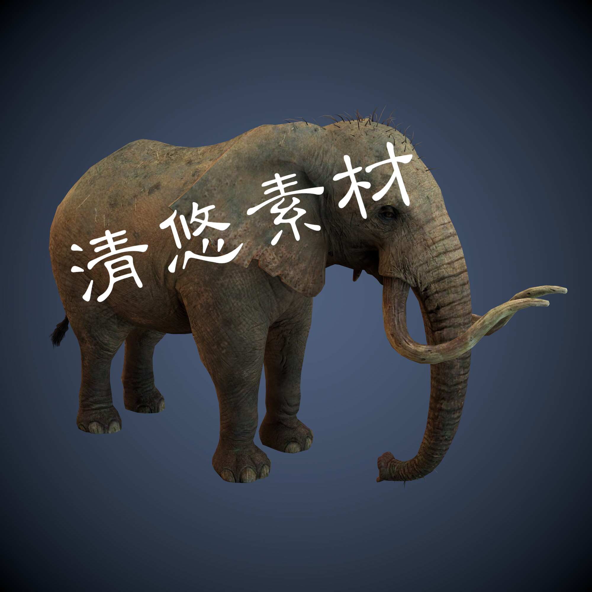 野生四足动物模型c4d fbx格式大象长鼻子骨骼绑定带动作模型 A60