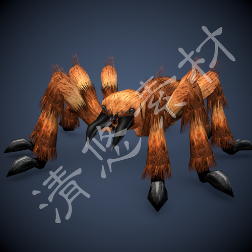 3dmax c4d黄色蜘蛛模型节肢动物多脚虫毒蜘蛛骨骼绑定fbx格式365