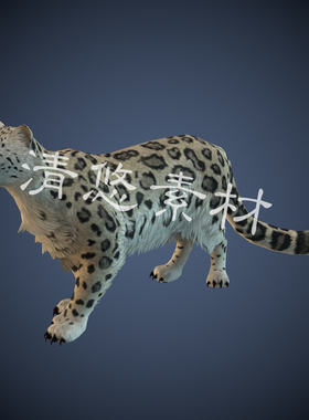 野生四足猫科动物花豹c4d fbx白色豹子模型骨骼绑定带动作 A73