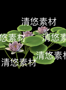 3dmax c4d fbx obj格式植物荷花睡莲荷叶文件 非实物B836