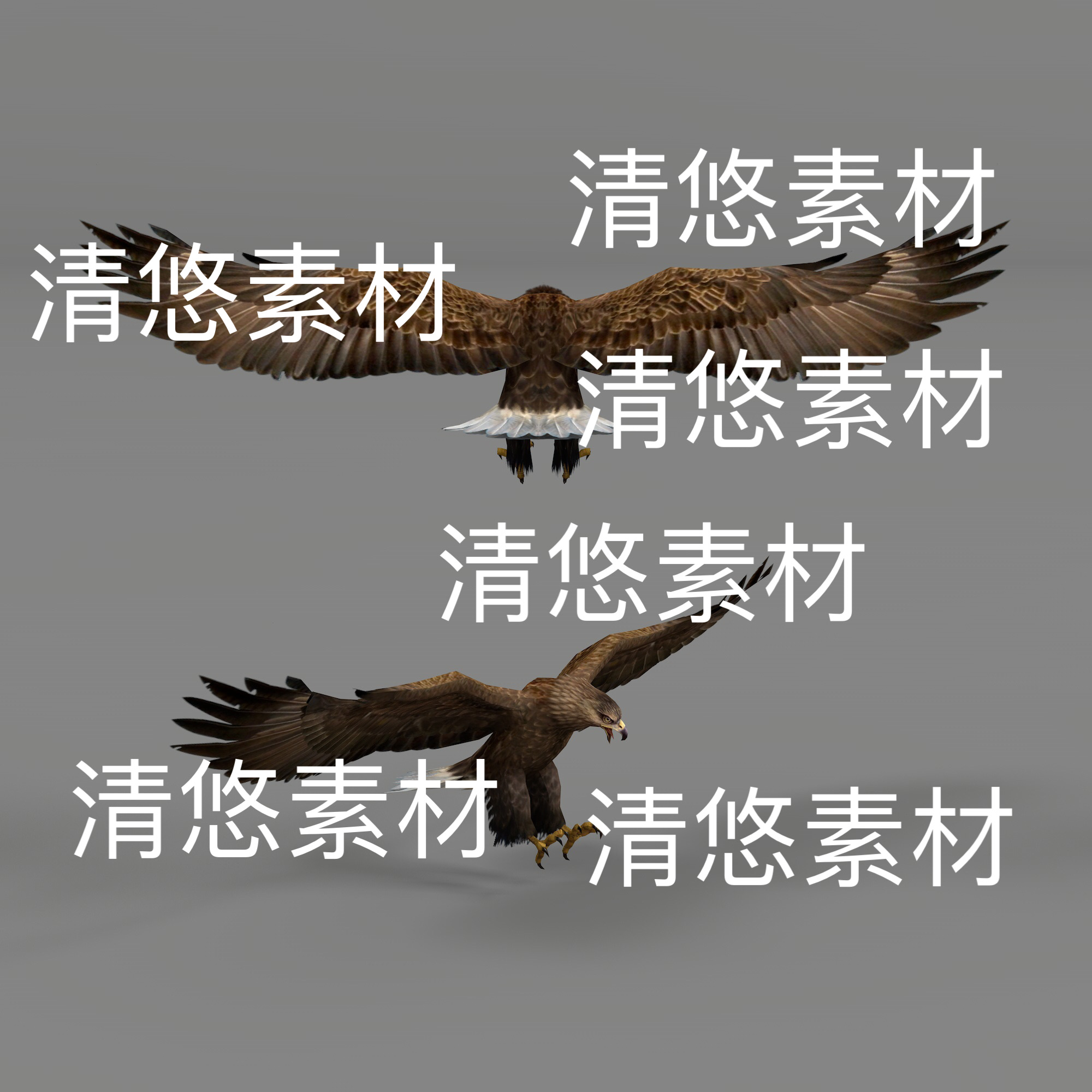 3dmax飞行动物老鹰bip动作数据骨骼绑带动作模型文件 非实物D498