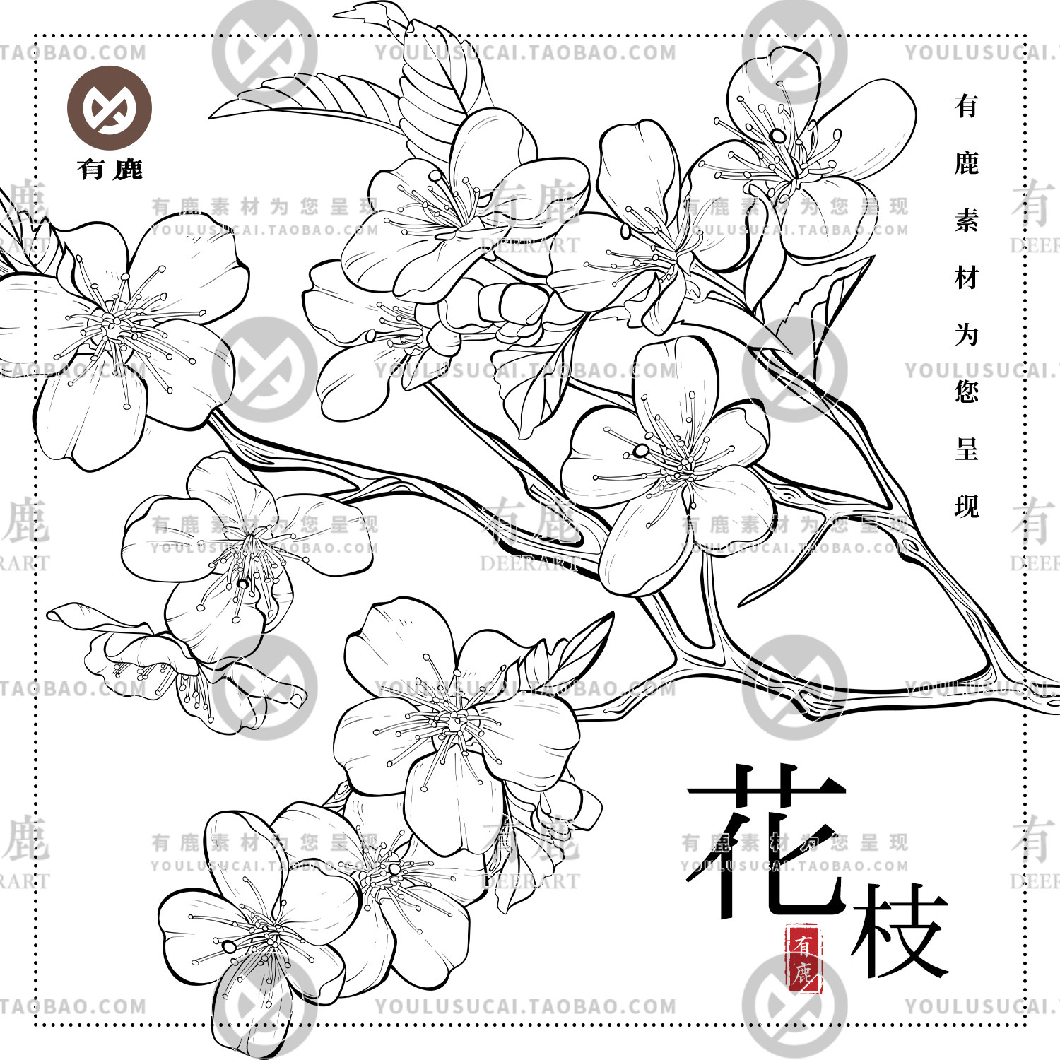 花卉花朵植物花枝线描线稿素描手绘鲜花线条参考设计素材矢量插画