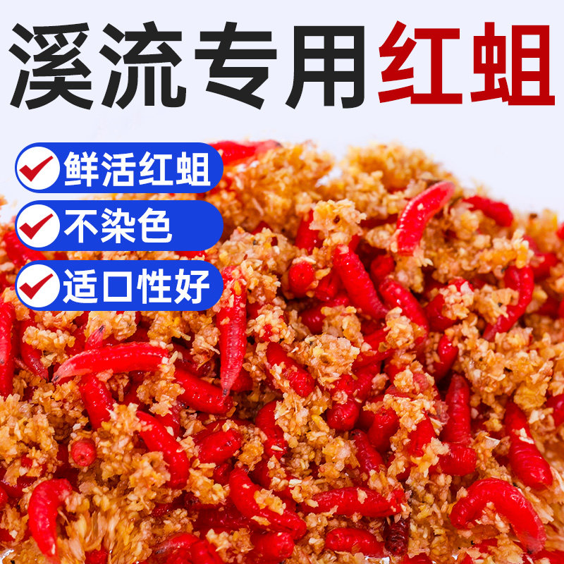 红虫活饵新鲜红蛆虫脓腥钓鱼饵大号可钓石斑马口白条鲤鲫鱼溪哥