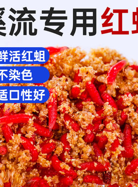 红蛆虫新鲜红虫活饵脓腥钓鱼饵