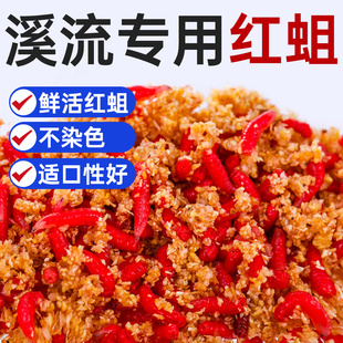 红虫活饵新鲜红蛆虫脓腥钓鱼饵大号可钓石斑马口白条鲤鲫鱼溪哥