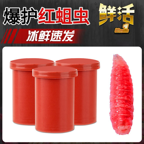 红蛆虫活饵钓鱼虫饵活饵