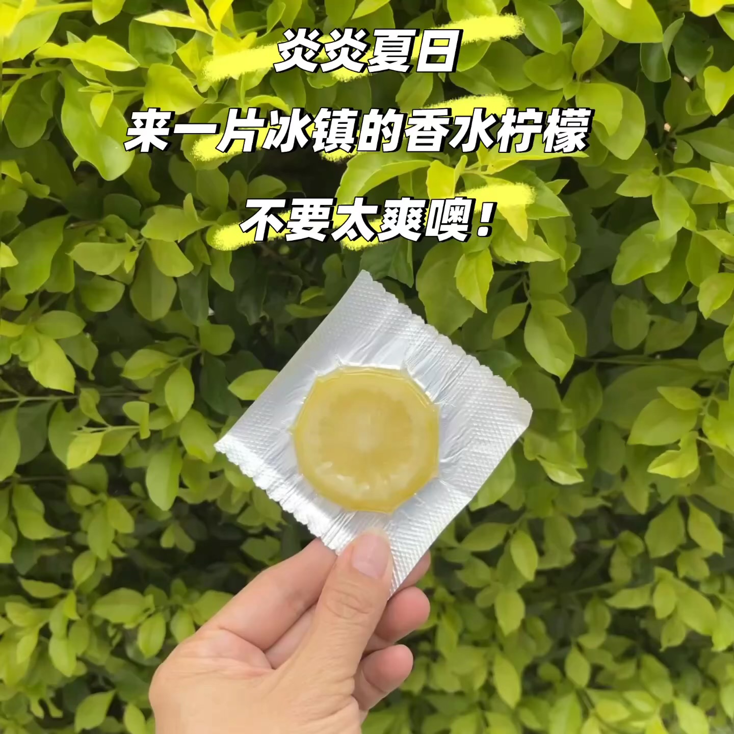 柠檬佳人香水柠檬片原味蜂蜜味