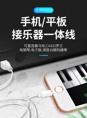 适用苹果手机与电字琴otg数据线