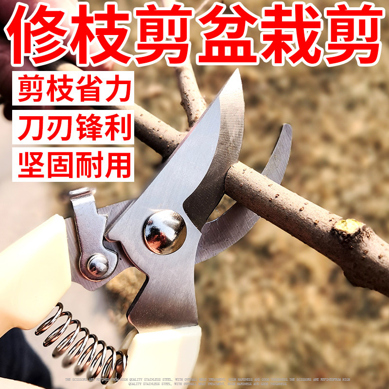 园艺剪刀绿植修枝剪子花卉盆栽植物修枝剪果树剪刀多功能家用包邮