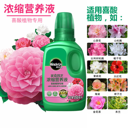 多肉植物专用液体肥销量排行榜 多肉植物专用液体肥品牌热度排名 小麦优选