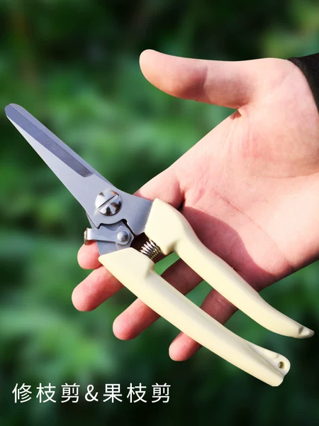 Товары от 俗人雅居园艺