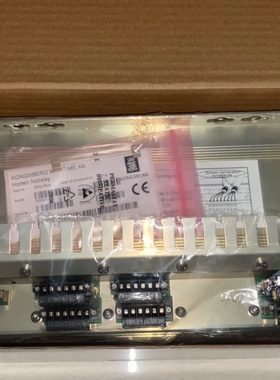 议价 KONGSBERG RAO-8xe 333505 康士伯模块全新现货议价