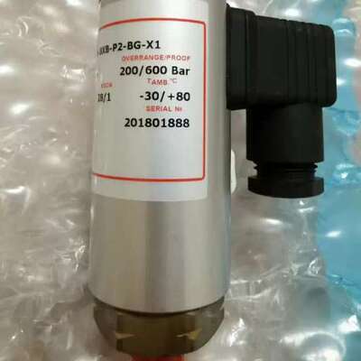 售前压力开关 BETR B2-P504H/BXB-P2-BG-X1 0.3-3.8Bar